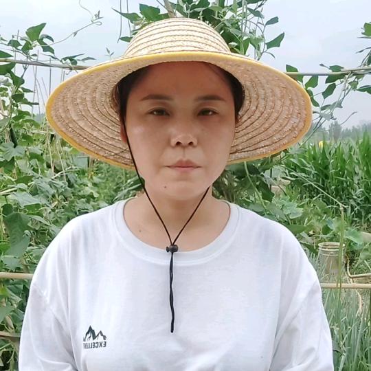 大燕说农业