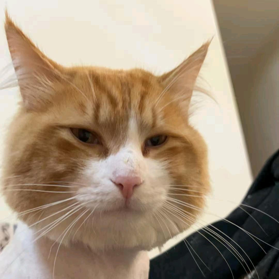 捆绑