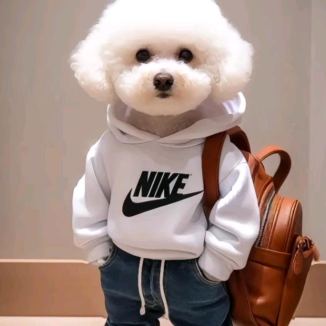 🤩♥思钱想厚（＾Ｏ＾）