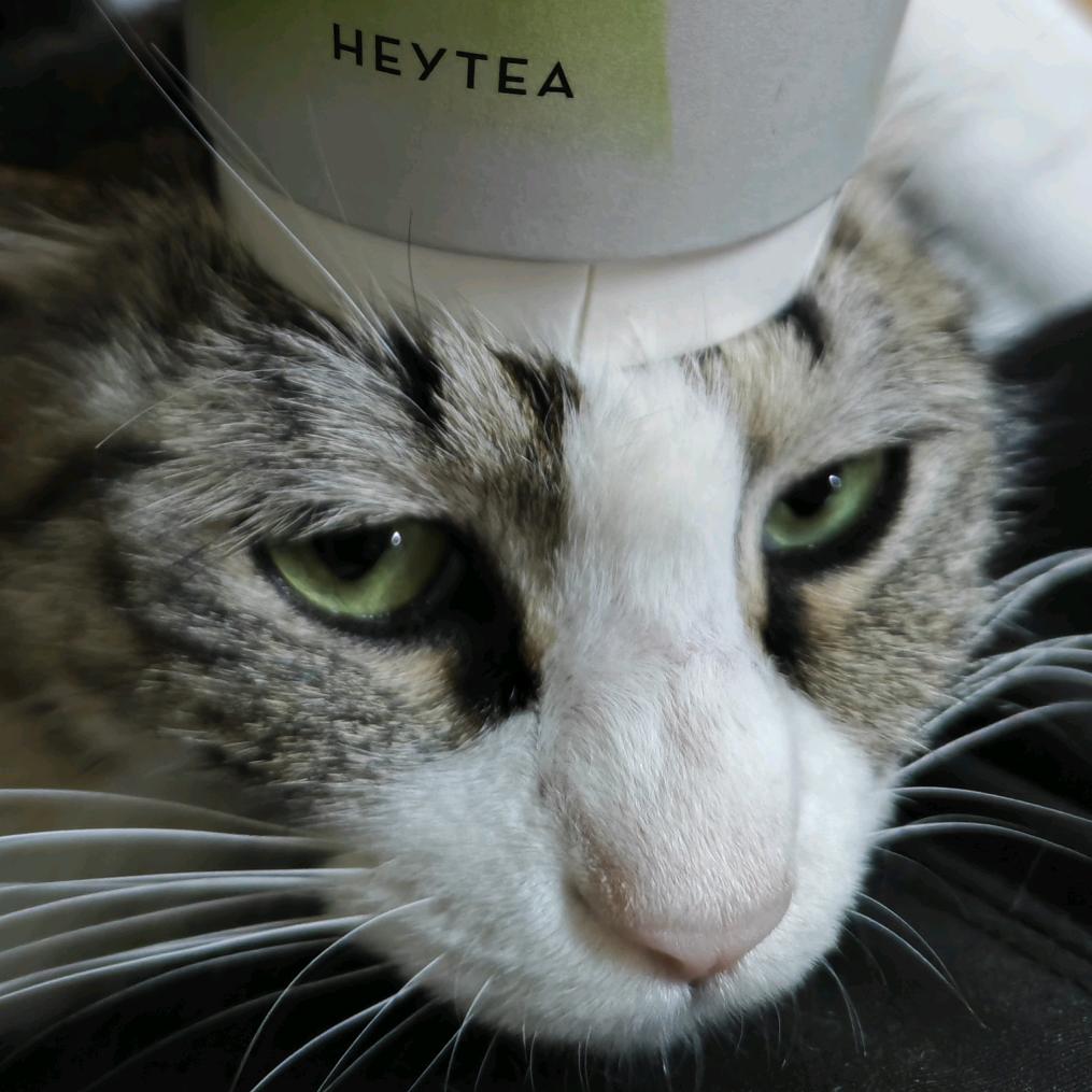 清风倚斜阳（绝世神厨版）