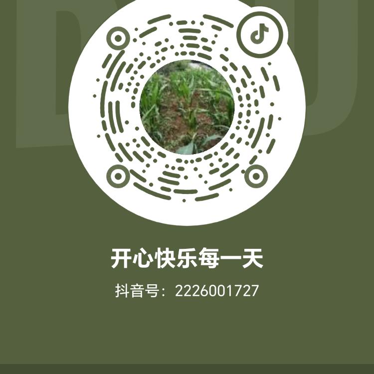 开心快乐每一天