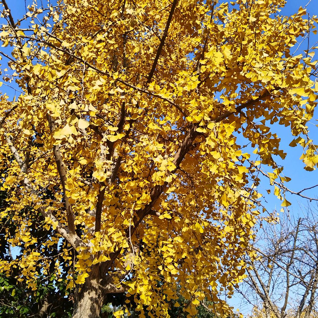 ❤一切🎈随心🌹