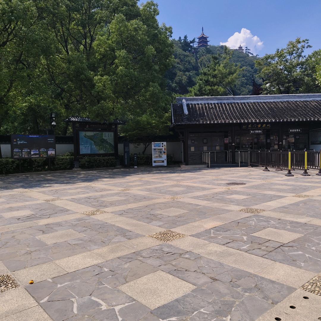 云南小叶