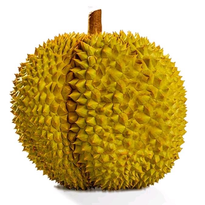 皇上