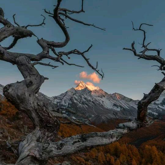 亚丁大环线转洛亚大转向导阿苏