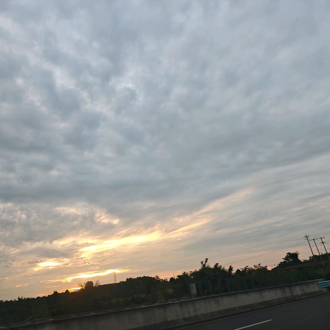 敏