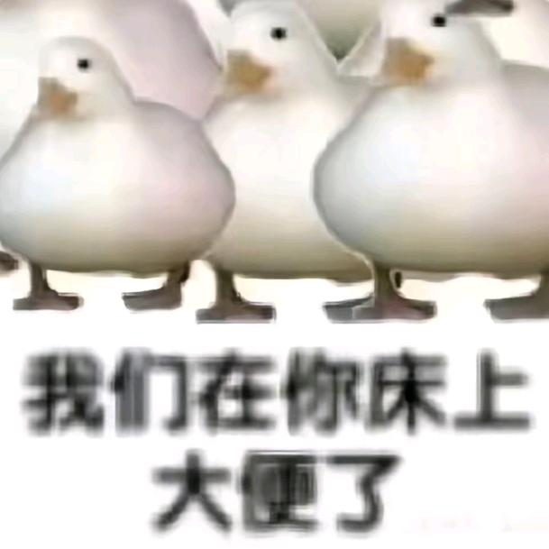 默认文本