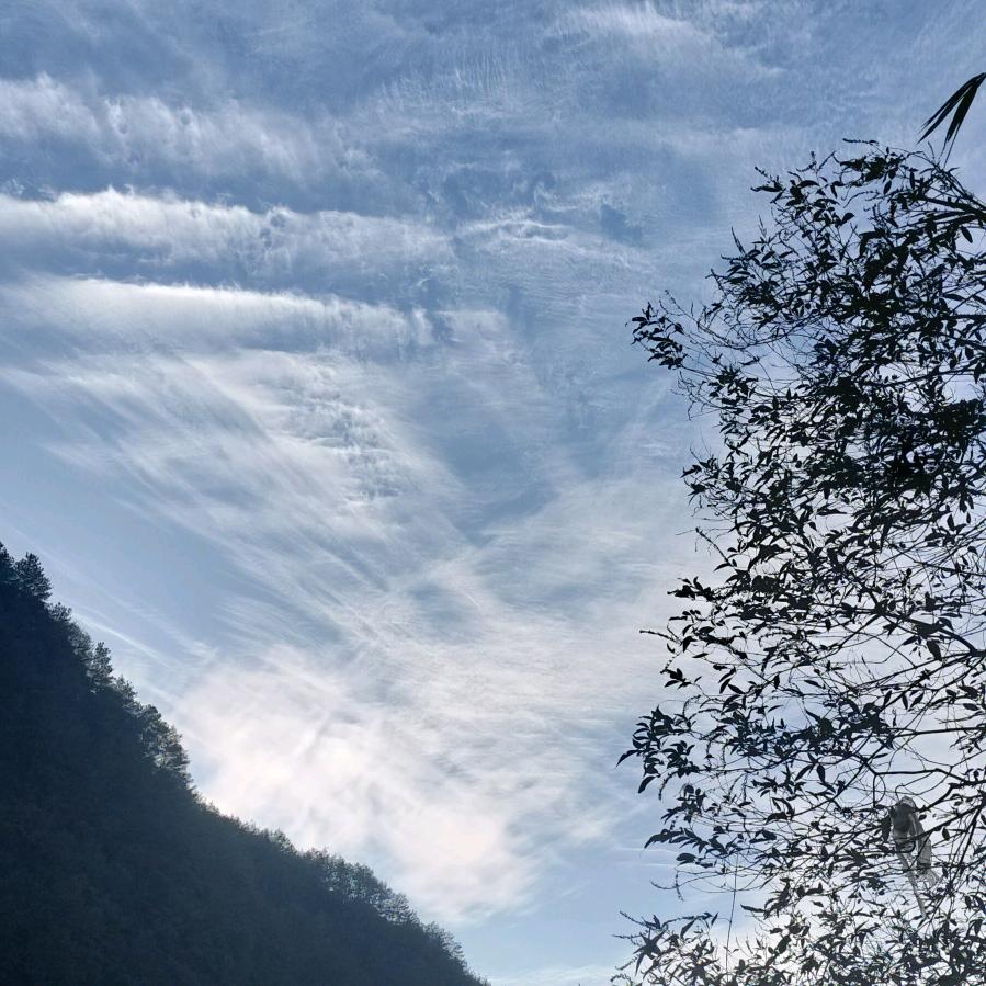 推老爷爷下河。