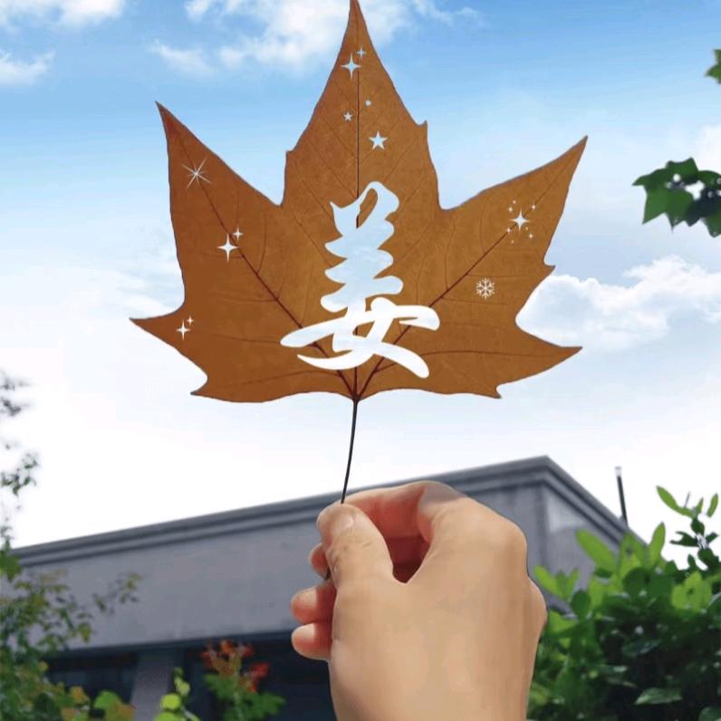 姜姜不吃姜