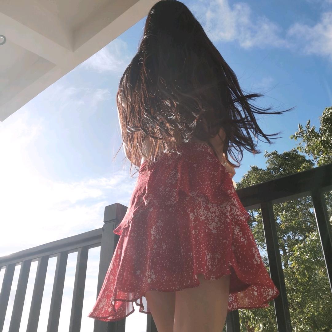 霸王龙💞