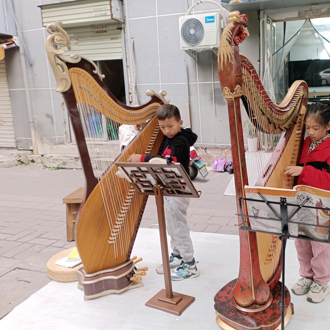 焦作市解放区古韵箜篌乐器销售店
