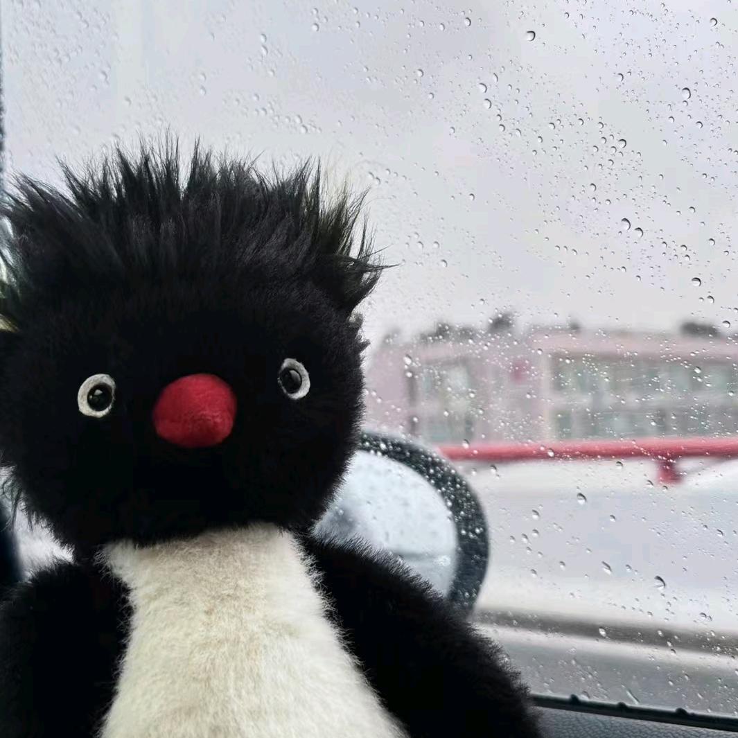 🐧企鹅皇帝