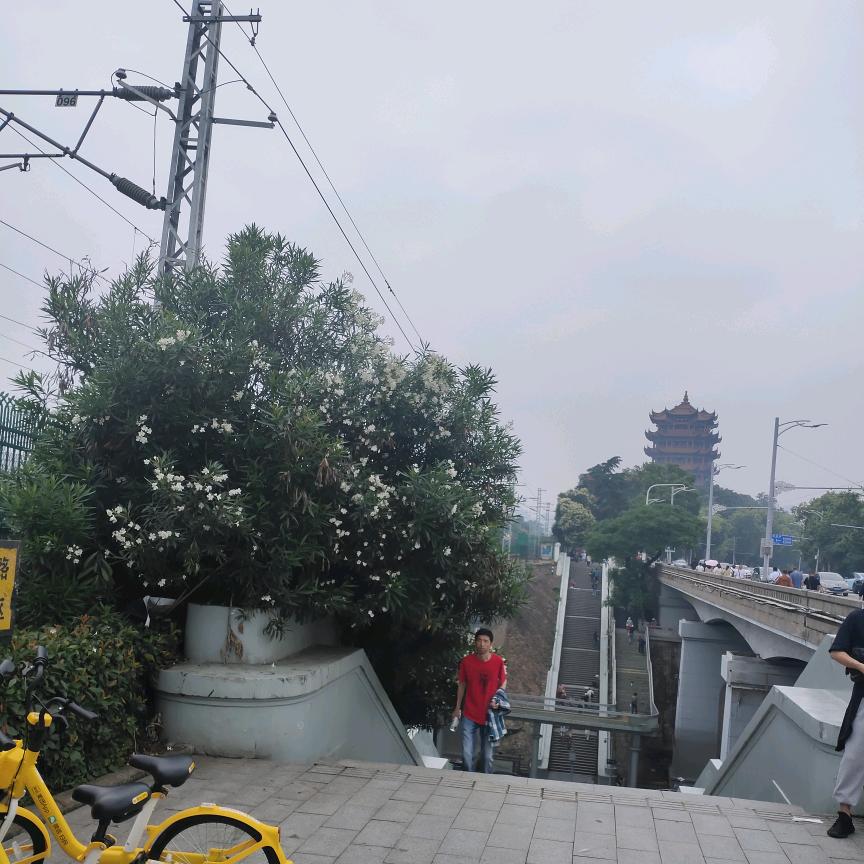 无敌