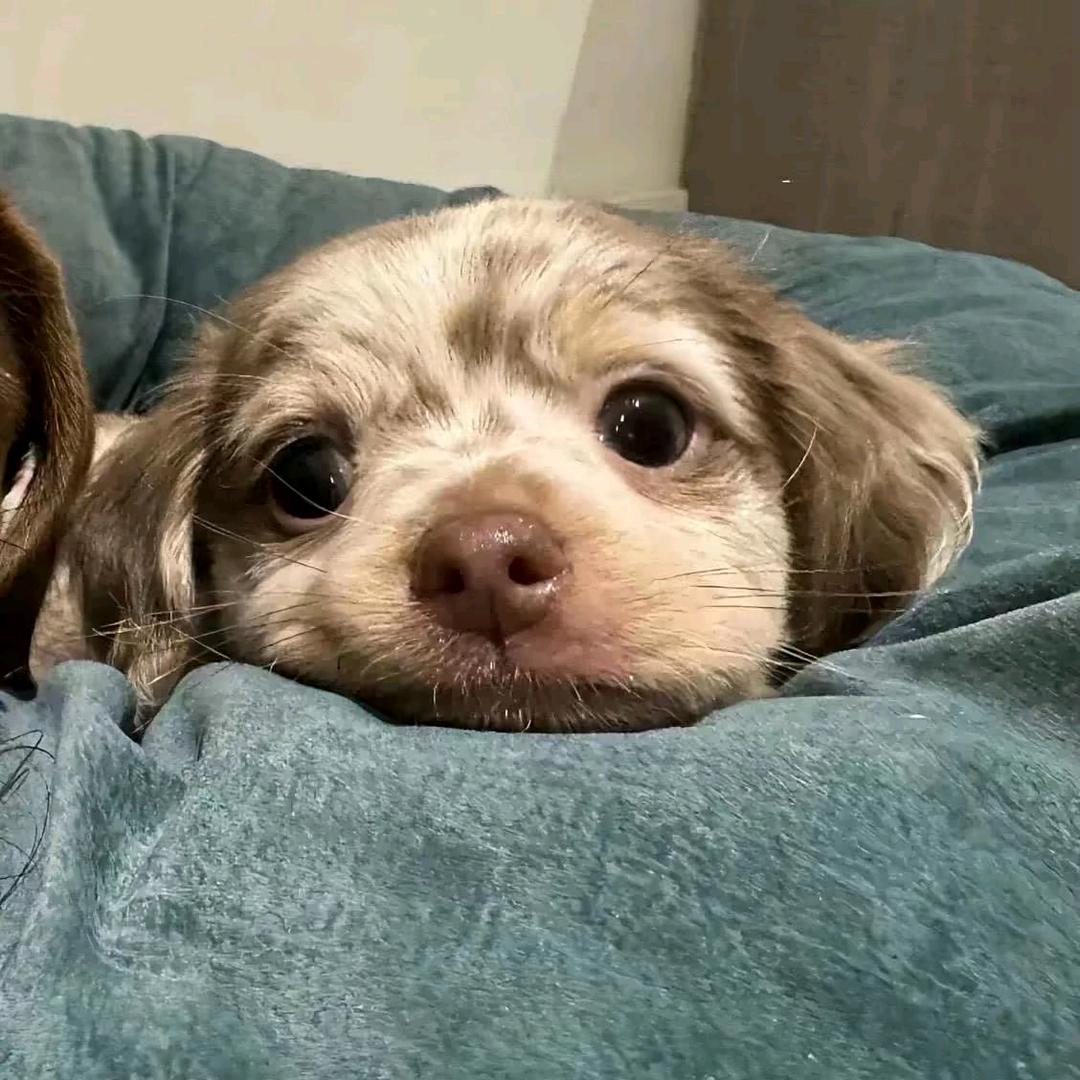💤