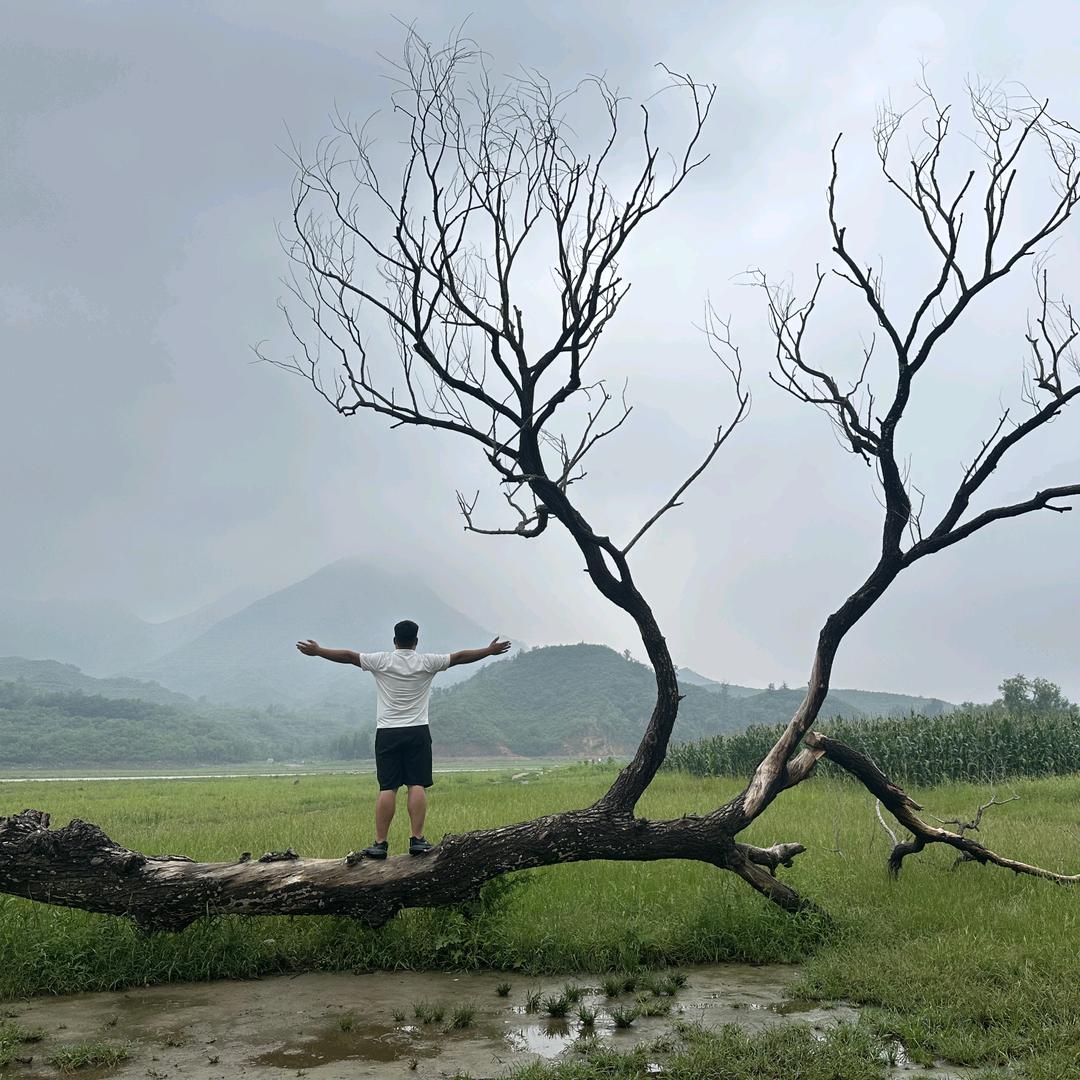 种树苗的00后 大民