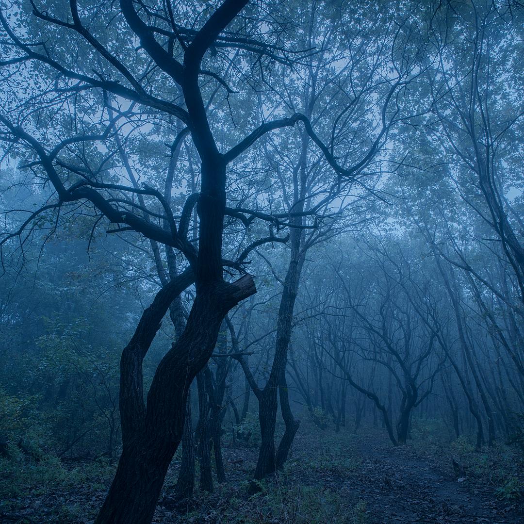 收鬼👻👻👻👻