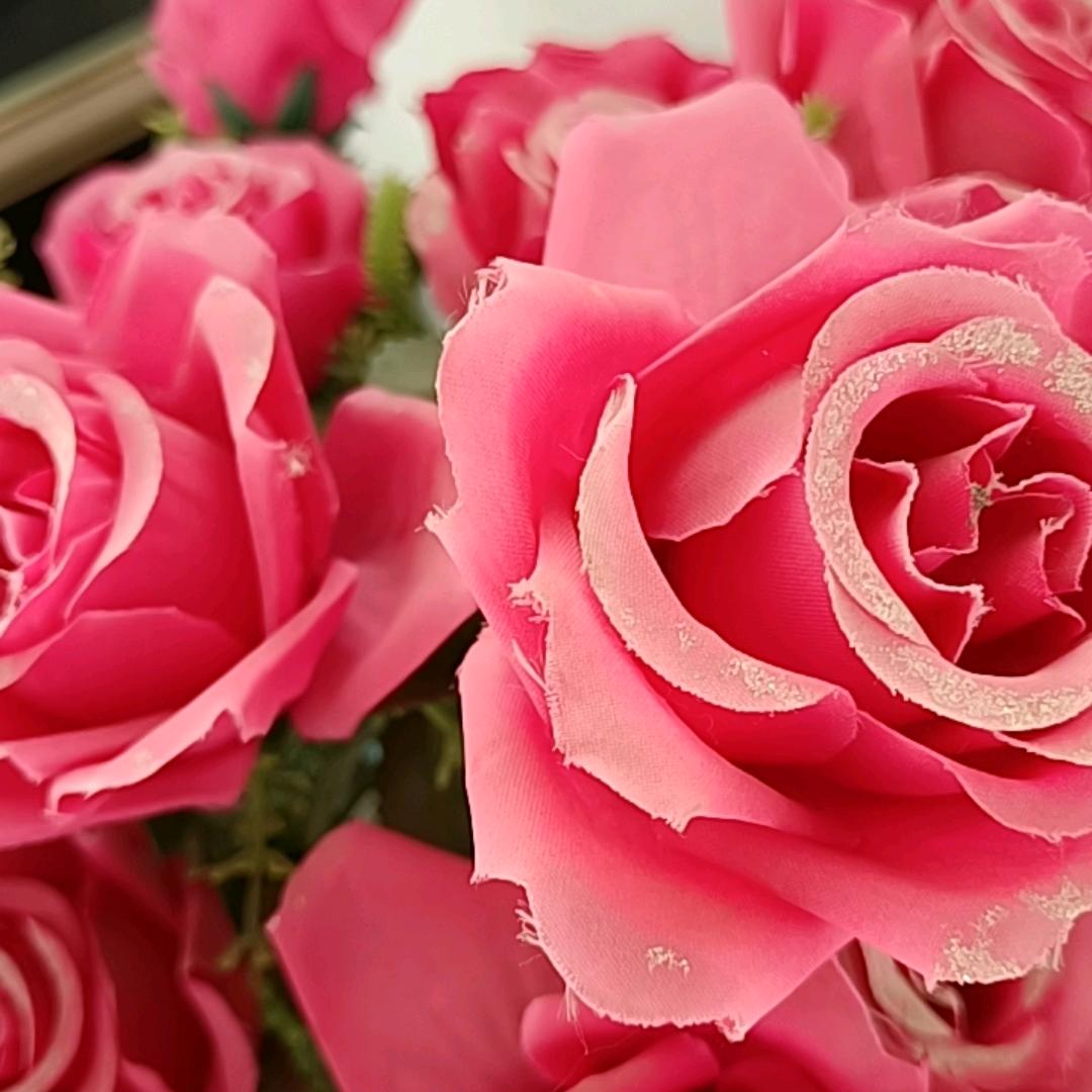 放飞梦想的翅膀