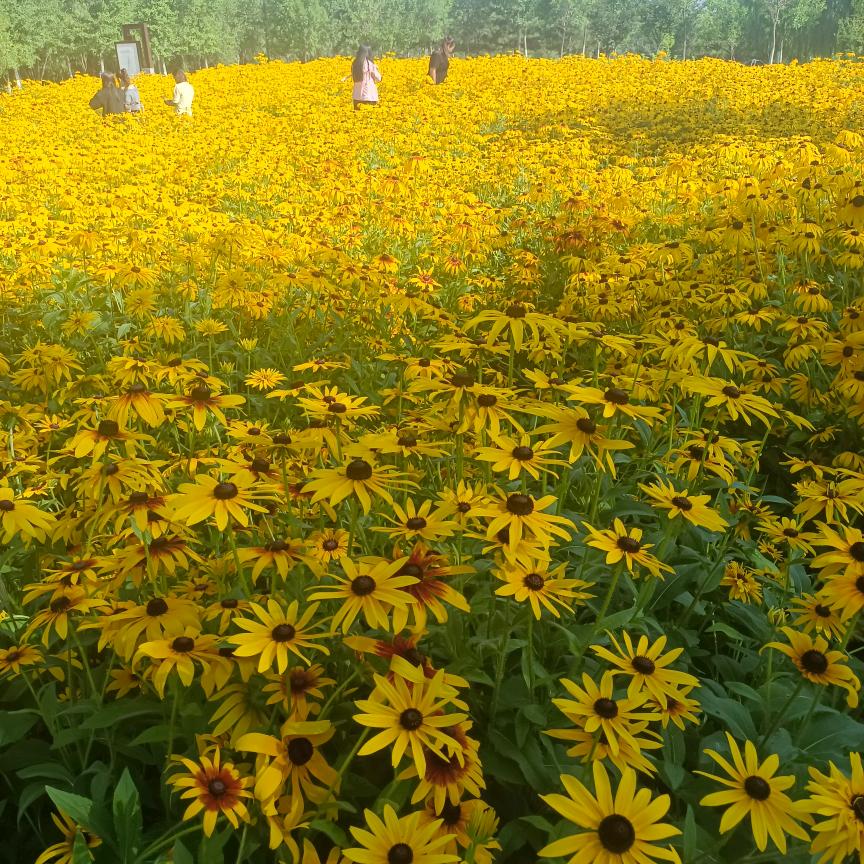 ℒᎭℯ⃟霞不💕为例