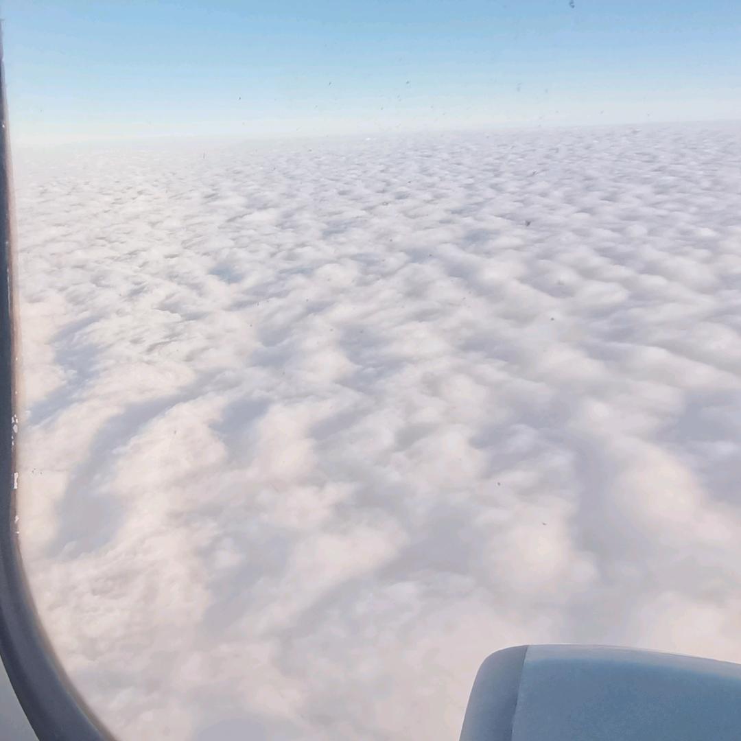 忠实粉丝【喵喵版】