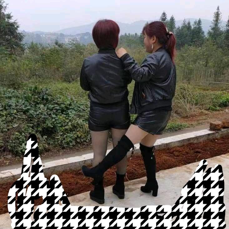 树头，蠢婆