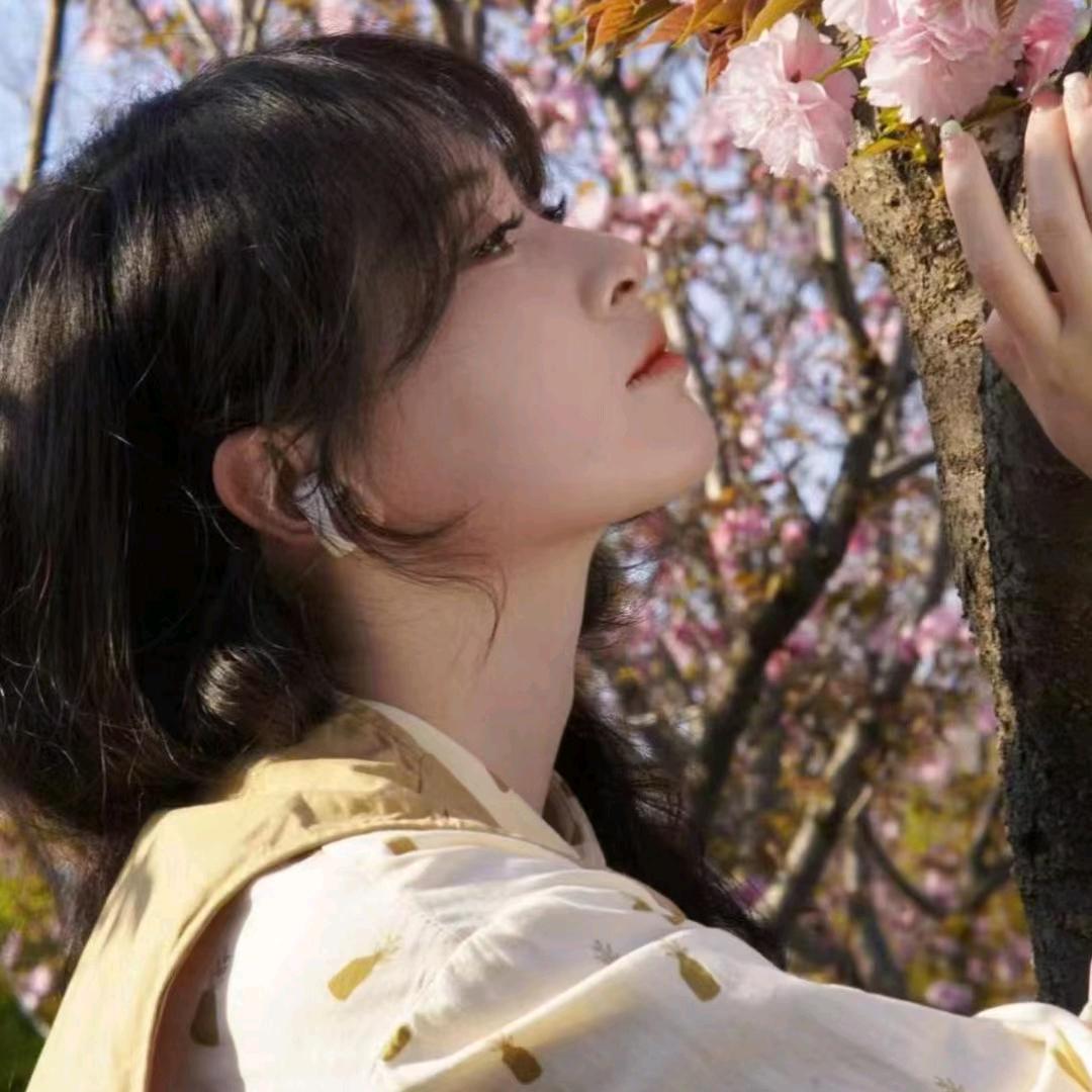 肆意飞杨