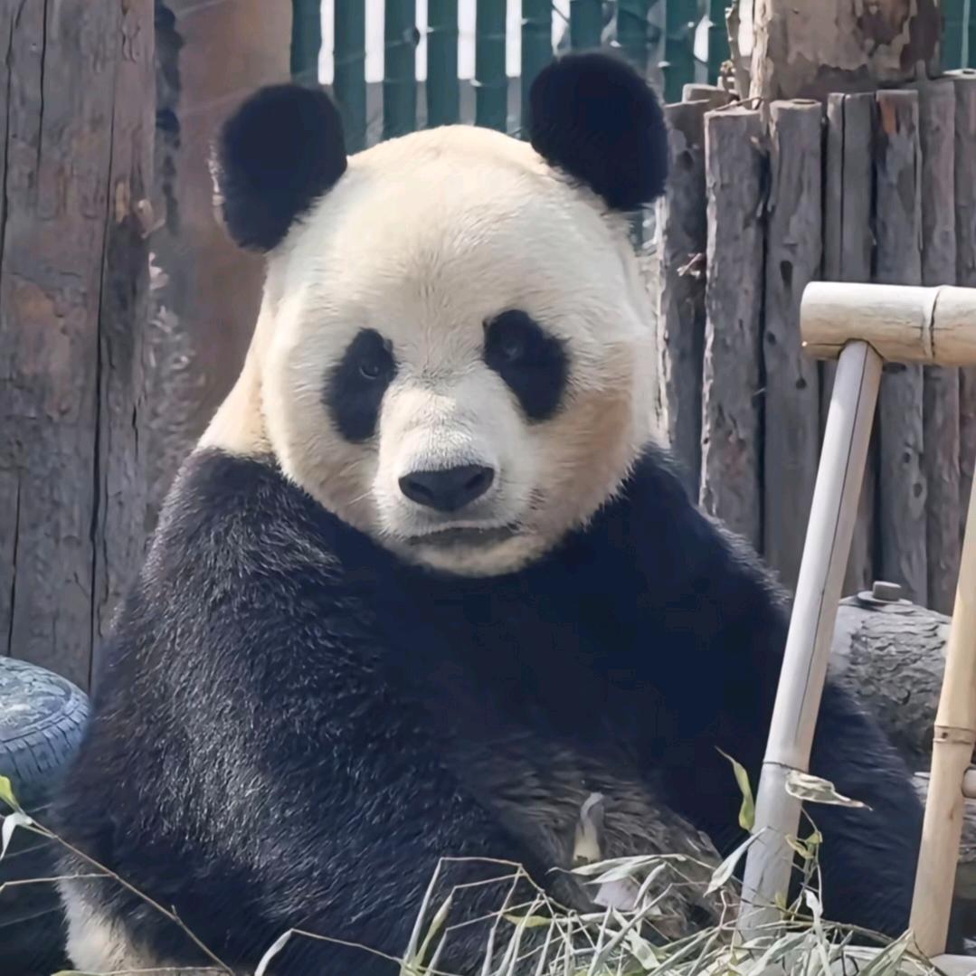 申小通