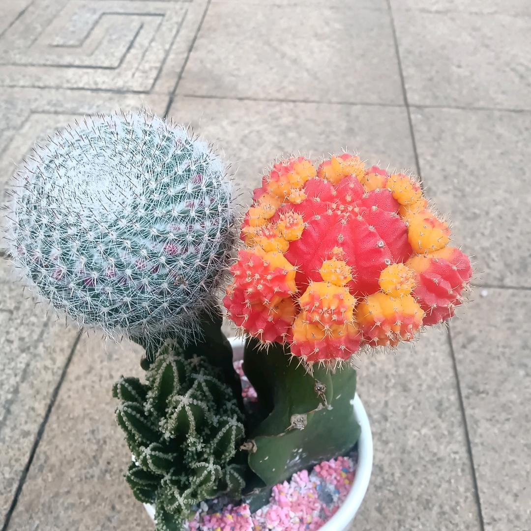 祝福平安