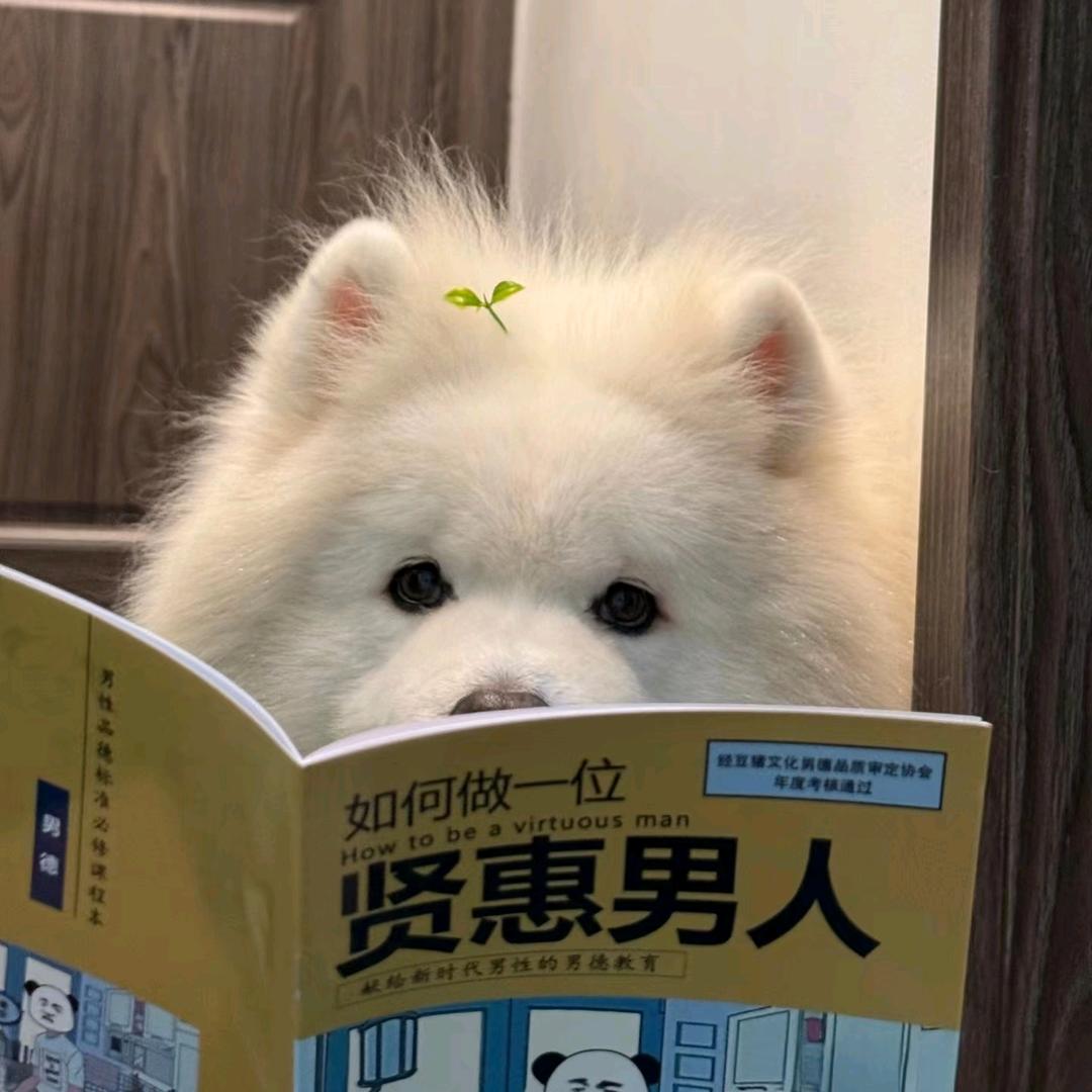 爱玩游戏的春城