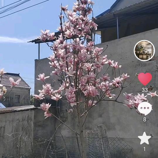 过