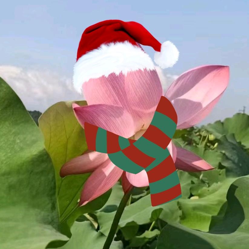 一朵快乐的小香菇头像