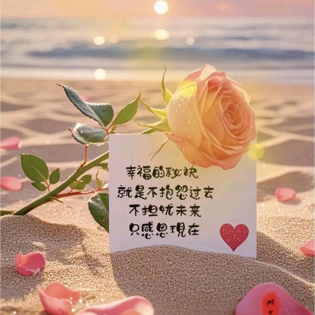 ♥(｡￫v￩｡)♥