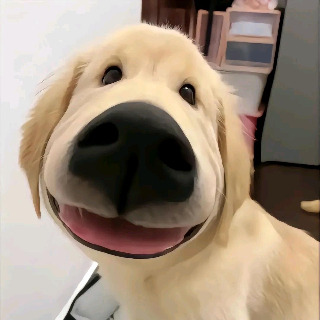 树达🍀