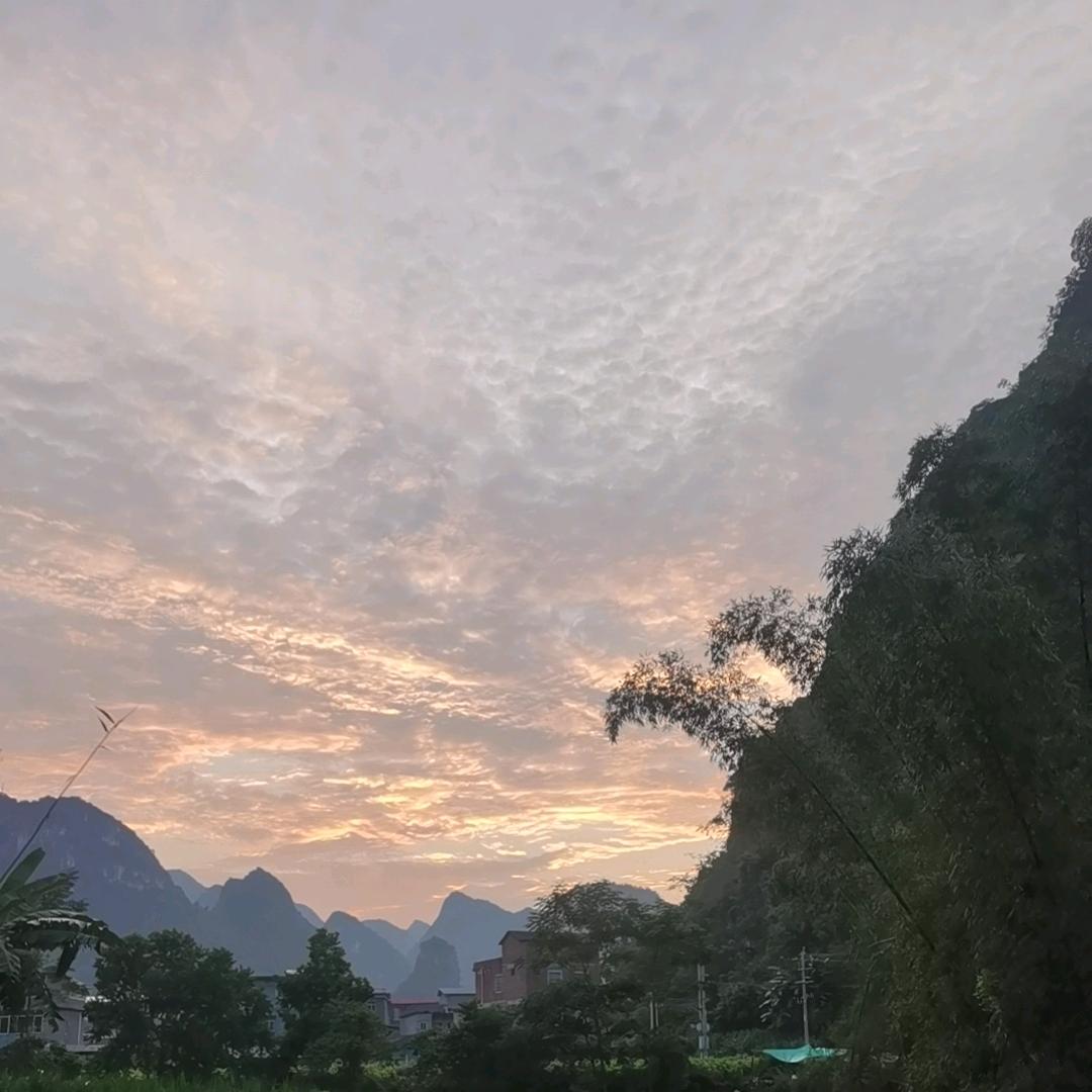 你是我的最爱