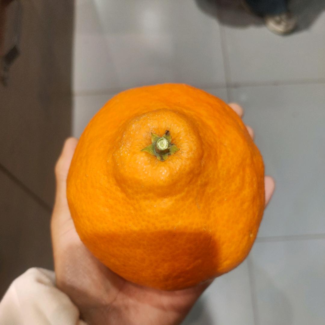 一生一世只有你