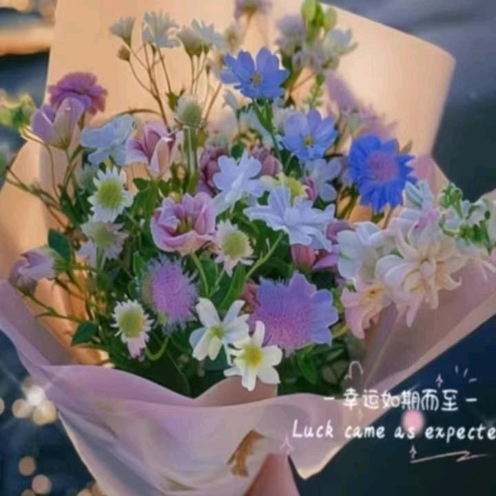 🌿love白开水🍒