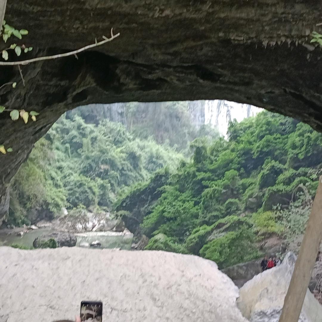 杨贵生