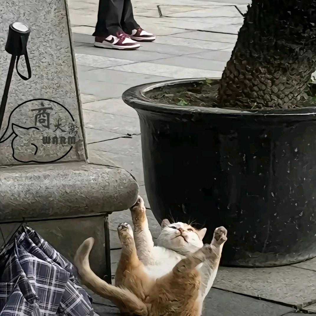 。