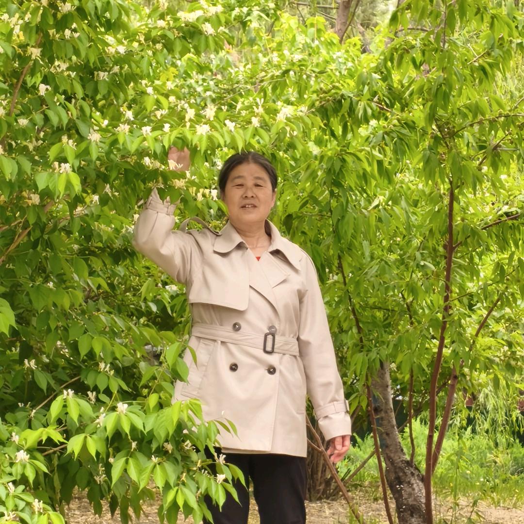 一帆顺
