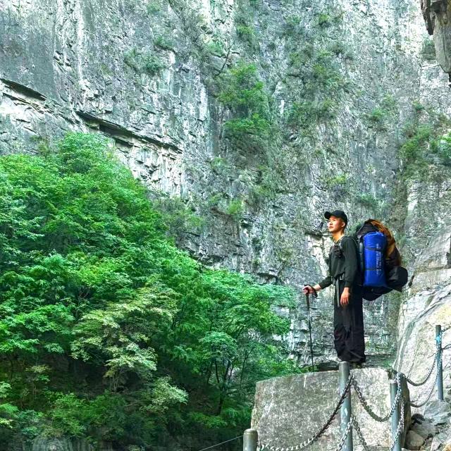 一个学年（学习中）☀