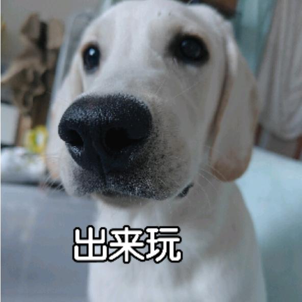 山楂莓莓