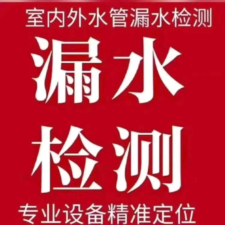 青海金耳朵检测漏水