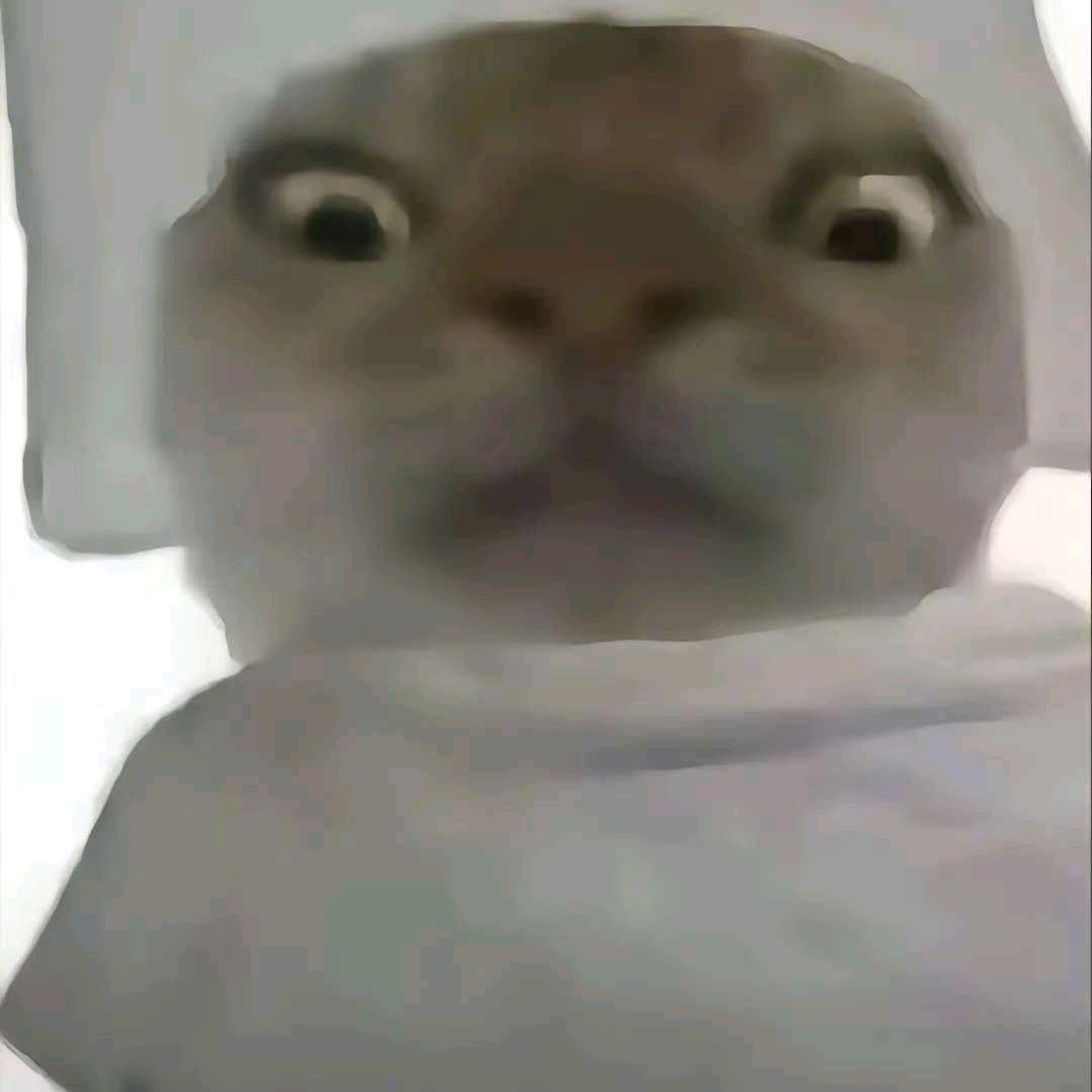 4567
