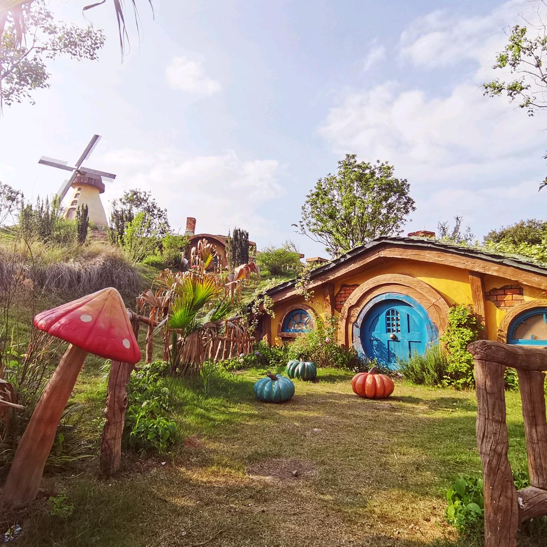 🧡阳光果粒成💞࿐