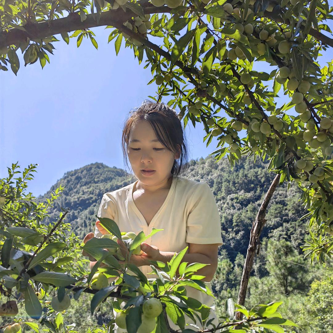 🥔土豆好物分享