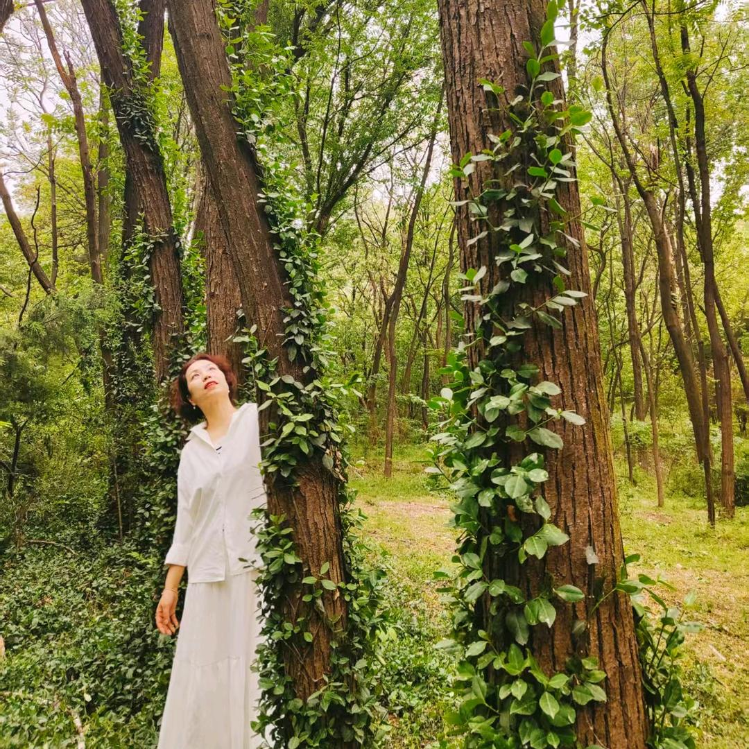 清风徐来q