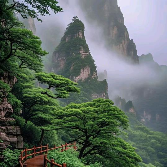 逆行者
