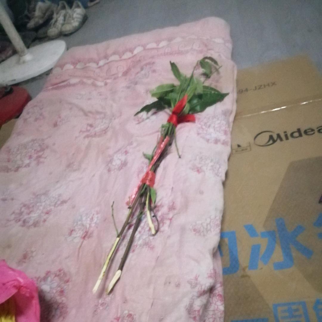 所有我都是每次全部都是伤心难过离开不回来