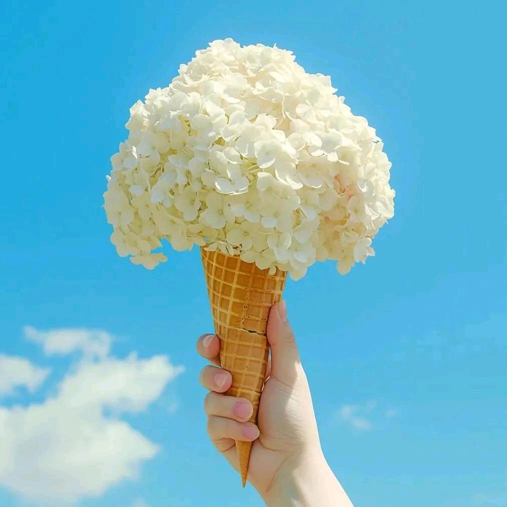 ღ᭄ꦿ꯭清风笺ꦿএ᭄ꦿ