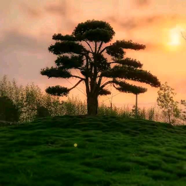 放下所有从头再来