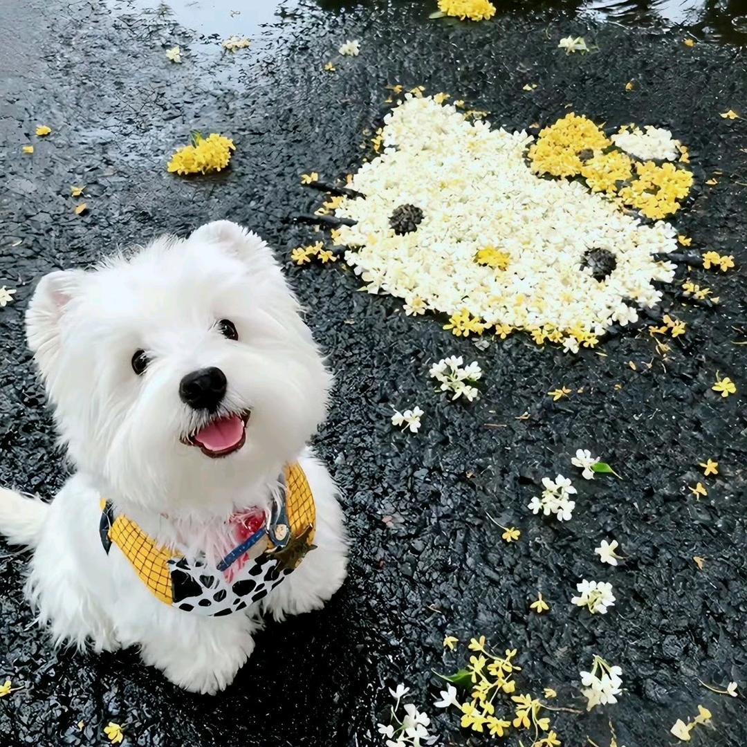 敏敏🌸